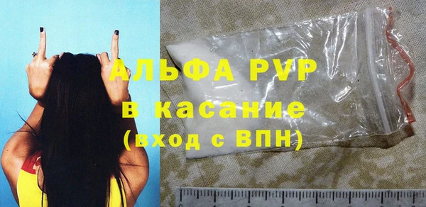индика Белоозёрский