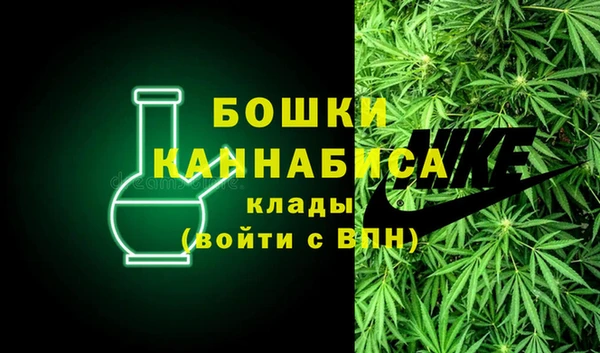 индика Белоозёрский