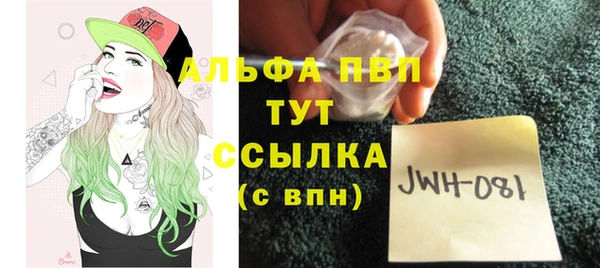 индика Белоозёрский