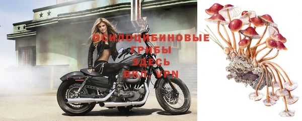 индика Белоозёрский