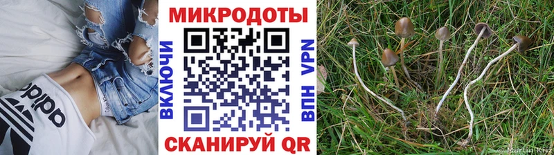 Галлюциногенные грибы GOLDEN TEACHER  Малая Вишера 